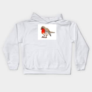 Robin redbreast Kids Hoodie